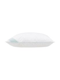 Poduszka z pierza Comfort, średnio twarda, Średnio ciepła, S 80 x D 80 cm