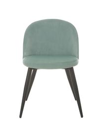 Sedia imbottita in velluto blu verde Amy 2 pz, Rivestimento: velluto (poliestere) Con , Gambe: metallo verniciato a polv, Velluto turchese, Larg. 51 x Prof. 55 cm