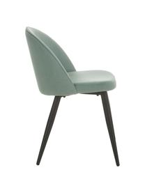 Sedia imbottita in velluto blu verde Amy 2 pz, Rivestimento: velluto (poliestere) Con , Gambe: metallo verniciato a polv, Velluto turchese, Larg. 51 x Prof. 55 cm