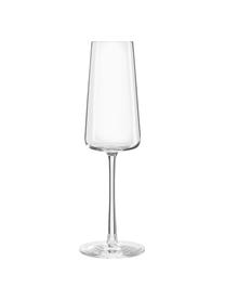 Flute champagne in cristallo a forma di cono Power 6 pz, Cristallo, Trasparente, Ø 7 x Alt. 23 cm, 240 ml