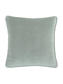 Federa cuscino divano in velluto verde salvia Dana, 100% velluto di cotone, Verde salvia, Larg. 50 x Lung. 50 cm
