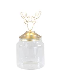 LED Aufbewahrungsdose Deer H 20 cm, Dose: Glas, Deckel: Metall, beschichtet, Transparent, Goldfarben, Ø 15 x H 20 cm