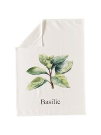 Set 5 stofinacci con motivo erbe Aroma, Cotone, Bianco latteo, tonalità verdi, Lung. 70 x Larg. 50 cm