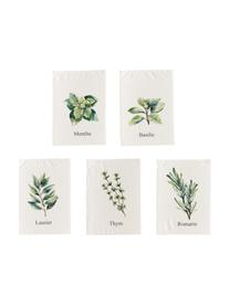 Set 5 stofinacci con motivo erbe Aroma, Cotone, Bianco latteo, tonalità verdi, Lung. 70 x Larg. 50 cm
