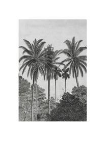 Carta da parati Palms, Tessuto non tessuto, Grigio, nero, bianco, Larg. 200 x Alt. 300 cm