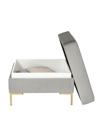 Fluwelen voetenbank Luna met opbergruimte met metalen poten, Bekleding: fluweel (100% polyester),, Frame: massief beukenhout, multi, Poten: gegalvaniseerd metaal, Fluweel lichtgrijs, B 77 x H 49 cm