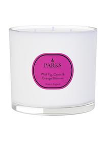 Dreidocht-Duftkerze Vintage Aromatherapy (Wilde Feige, schwarze Johannisbeere & Orangenblüte), Behälter: Glas, Feige, Johannisbeere, Orangenblüte, Ø 12 x H 11 cm