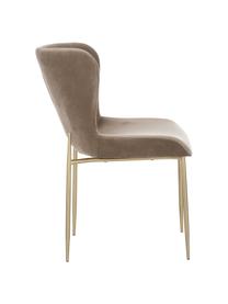 Fluwelen stoel Tess, Bekleding: fluweel (polyester), Poten: gepoedercoat metaal, Fluweel taupe, goudkleurig, B 49 x H 84 cm