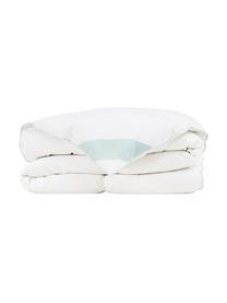 Reine Daunen-Bettdecke Premium, warm, Hülle: 100% Baumwolle, feine Mak, Warm, B 200 x L 200 cm