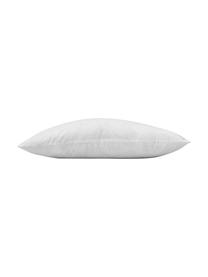Imbottitura cuscino arredo Comfort, Bianco, Larg. 30 x Lung. 50 cm