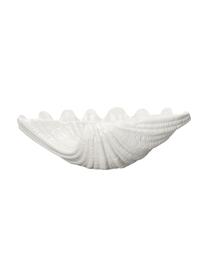 Saladier en dolomie forme de coquille blanche Shell, Dolomie, Blanc, larg. 34 x haut. 10 cm