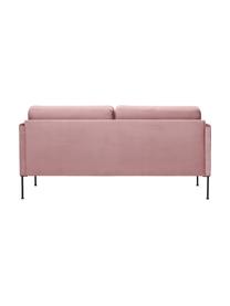 Samt-Sofa Fluente (2-Sitzer) mit Metall-Füßen, Bezug: Samt (Hochwertiger Polyes, Gestell: Massives Kiefernholz, FSC, Füße: Metall, pulverbeschichtet, Samt Rosa, B 166 x T 85 cm