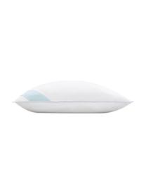 Veren hoofdkussen Comfort, medium, Medium, B 60 x L 70 cm