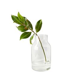 Glas-Vase Loren, Glas, Transparent, Ø 26 x H 45 cm
