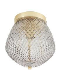 Kleine plafondlamp Orbiform van glas, Lampenkap: glas, Baldakijn: gecoat metaal, Messingkleurig, grijs, transparant, Ø 23 x H 25 cm