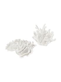 Dekoracja Coral, Poliresing, Biały, S 25 x W 10 cm