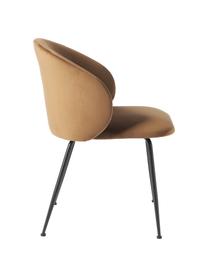 Sedia imbottita in velluto Luisa 2 pz, Rivestimento: velluto (100% poliestere), Gambe: metallo verniciato a polv, Velluto marrone, nero, Larg. 59 x Prof. 59 cm