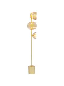 Stehlampe Mariposa aus Glas und Metall, Lampenschirm: Glas, Lampenfuß: Stahl, beschichtet, Goldfarben, Ø 25 x H 160 cm