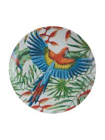 Set stoviglie colorate in porcellana Parrot Jungle, 6 persone (18 pz), Porcellana, Verde, multicolore, Set in varie misure