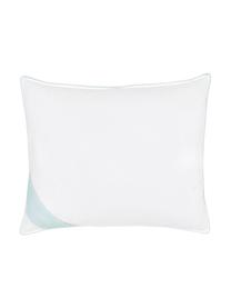 Veren hoofdkussen Comfort, zacht, Zacht, B 60 x L 70 cm