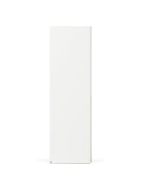 Modulární skříň s otočnými dveřmi Leon, šířka 100 cm, více variant, Bílá, Interiér Basic, výška 200 cm