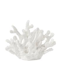 Oggetto decorativo di design Coral, Poliresina, Bianco, Larg. 22 x Alt. 17 cm