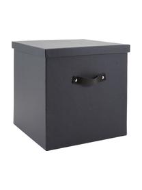 Skladovací box Texas, Tmavě šedá, Š 32 cm, V 32 cm