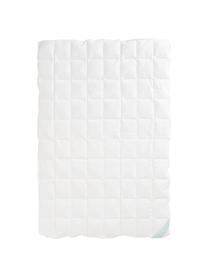 Edredón cuatro estaciones de plumón Premium, normal, Blanco, Cama 135/140 cm (200 x 200)