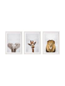 Gerahmtes Digitaldruck-Set Wild Animals, 3-tlg., Bild: Digitaldruck auf Papier, Rahmen: Holz, lackiert, Mehrfarbig, B 35 x H 45 cm