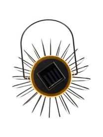 Outdoor solar lamp Wonder om op te hangen of te zetten, Lamp: metaal, Lampenkap: kunststof, Frame: zwart gelakt eikenhout. Voet: goudkleurig, Ø 19 x H 29 cm