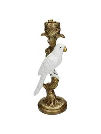 Design-Kerzenhalter Parrot, Polyresin, Goldfarben, Weiß, B 10 x H 26 cm
