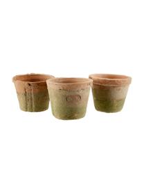 Pflanztopf-Set Daria aus Terrakotta, 4-tlg., Übertopf: Terrakotta, Korb: Metall, Terrakotta, Grün, B 37 x H 9 cm