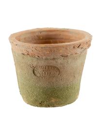 Pflanztopf-Set Daria aus Terrakotta, 4-tlg., Übertopf: Terrakotta, Korb: Metall, Terrakotta, Grün, B 37 x H 9 cm