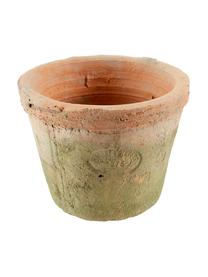 Pflanztopf-Set Daria aus Terrakotta, 4-tlg., Übertopf: Terrakotta, Korb: Metall, Terrakotta, Grün, B 37 x H 9 cm
