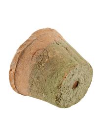 Pflanztopf-Set Daria aus Terrakotta, 4-tlg., Übertopf: Terrakotta, Korb: Metall, Terrakotta, Grün, B 37 x H 9 cm