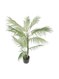 Dekoracyjna palma w doniczce, Tworzywo sztuczne, Zielony, czarny, W 84 cm