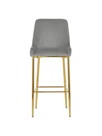 Fluwelen barstoel Ava in grijs, Bekleding: fluweel (100% polyester), Fluweel grijs, B 48 cm x H 107 cm
