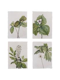 Set 4 poster Fribo, Carta, Verde, bianco, Larg. 26 x Alt. 35 cm