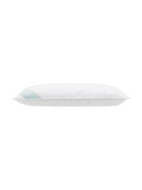 Oreiller en duvet Premium, intermédiaire, Intermédiaire, Larg. 40 x long. 80 cm