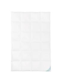 Reine Daunen-Bettdecke Premium, extra warm, Hülle: 100% Baumwolle, feine Mak, Extra warm, B 200 x L 200 cm