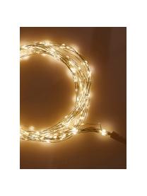 LED-Lichterbündel Milou, warmweiß, Kunststoff, Transparent, L 210 cm
