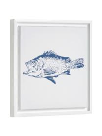 Ingelijste digitale print Lavinia Fish, Lijst: gecoat MDF, Afbeelding: canvas, Wit, blauw, 30 x 30 cm