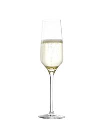 Krištáľové poháre na šampanské Experience, 6 ks, Krištáľové sklo, Priehľadná, Ø 6 x V 22 cm, 190 ml