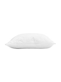 Relleno de cojín de microfibras Premium Sia, 50x50, Funda: 100% poliéster acolchado, Blanco, An 50 x L 50