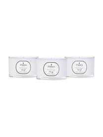 Geurkaarsenset Parks Exclusive, 3-delig, Houder: glas, Verschillende geuren, Ø 7 x H 5 cm