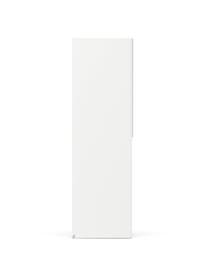 Modulaire draaideurkast Leon, 50 cm breed, diverse varianten, Frame: spaanplaat, FSC-gecertifi, Wit, Basis interieur, B 50 x H 200 cm