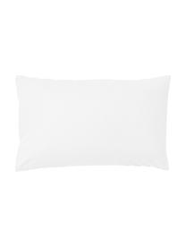 Federa in flanella Biba, Bianco, Larg. 50 x Lung. 80 cm