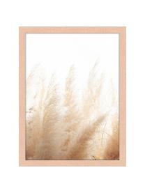 Ingelijste digitale print Pampa Grass, Afbeelding: digitale print op papier,, Lijst: gelakt hout, Pampa Grass, B 33 x H 43 cm