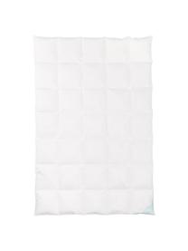 Daunen-Bettdecke Comfort, mittel, Hülle: 100% Baumwolle, feine Mak, Mittel, B 200 x L 200 cm