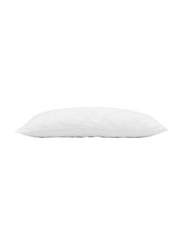 Relleno de cojín Sia, Funda: 100% algodón, Blanco, An 40 x L 60 cm